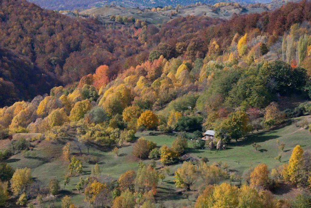 Valley View Breaza 외부 사진